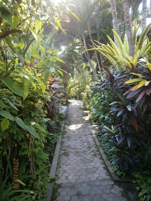 Legian Adus Beach Inn מראה חיצוני תמונה