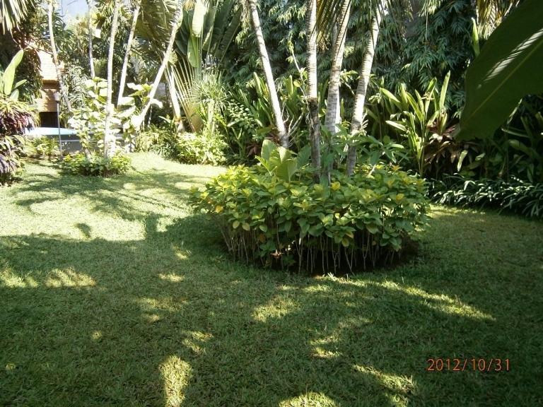 Legian Adus Beach Inn מראה חיצוני תמונה