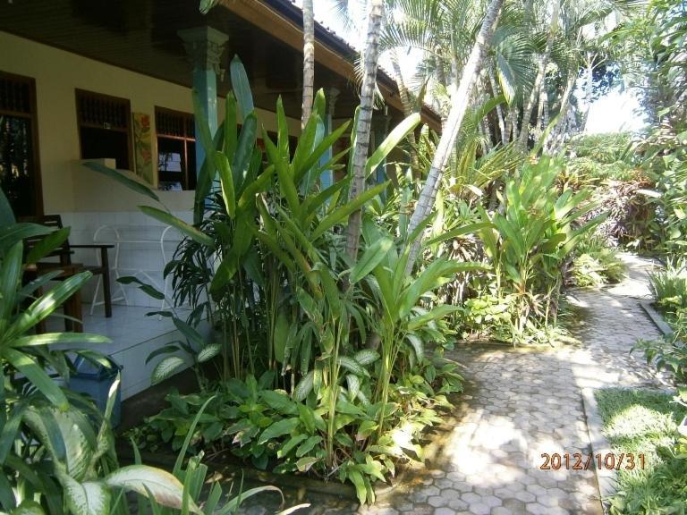 Legian Adus Beach Inn מראה חיצוני תמונה