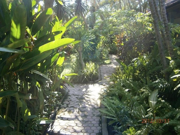 Legian Adus Beach Inn מראה חיצוני תמונה